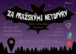 Květnové vycházky za pražskými netopýry, zdroj Lesy hl.m. Prahy